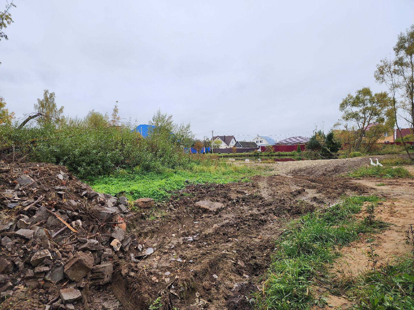 ногинск, выездная администрация, власть, пруд, благоустройство, жители, общество,