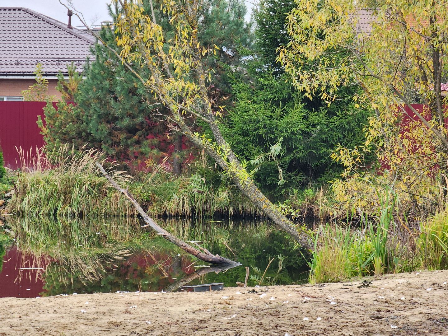 ногинск, выездная администрация, власть, пруд, благоустройство, жители, общество,