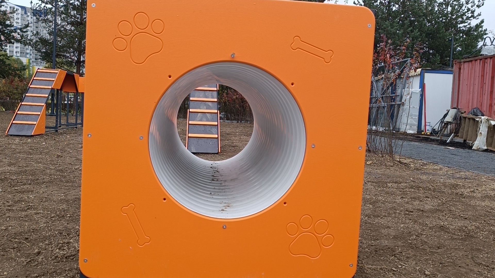 парк, лобня, собака,