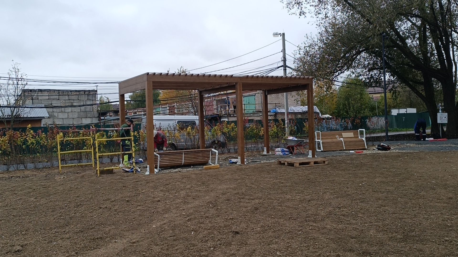 парк, лобня, собака,