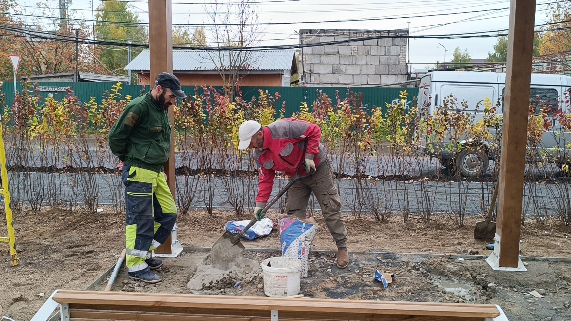 парк, лобня, собака,