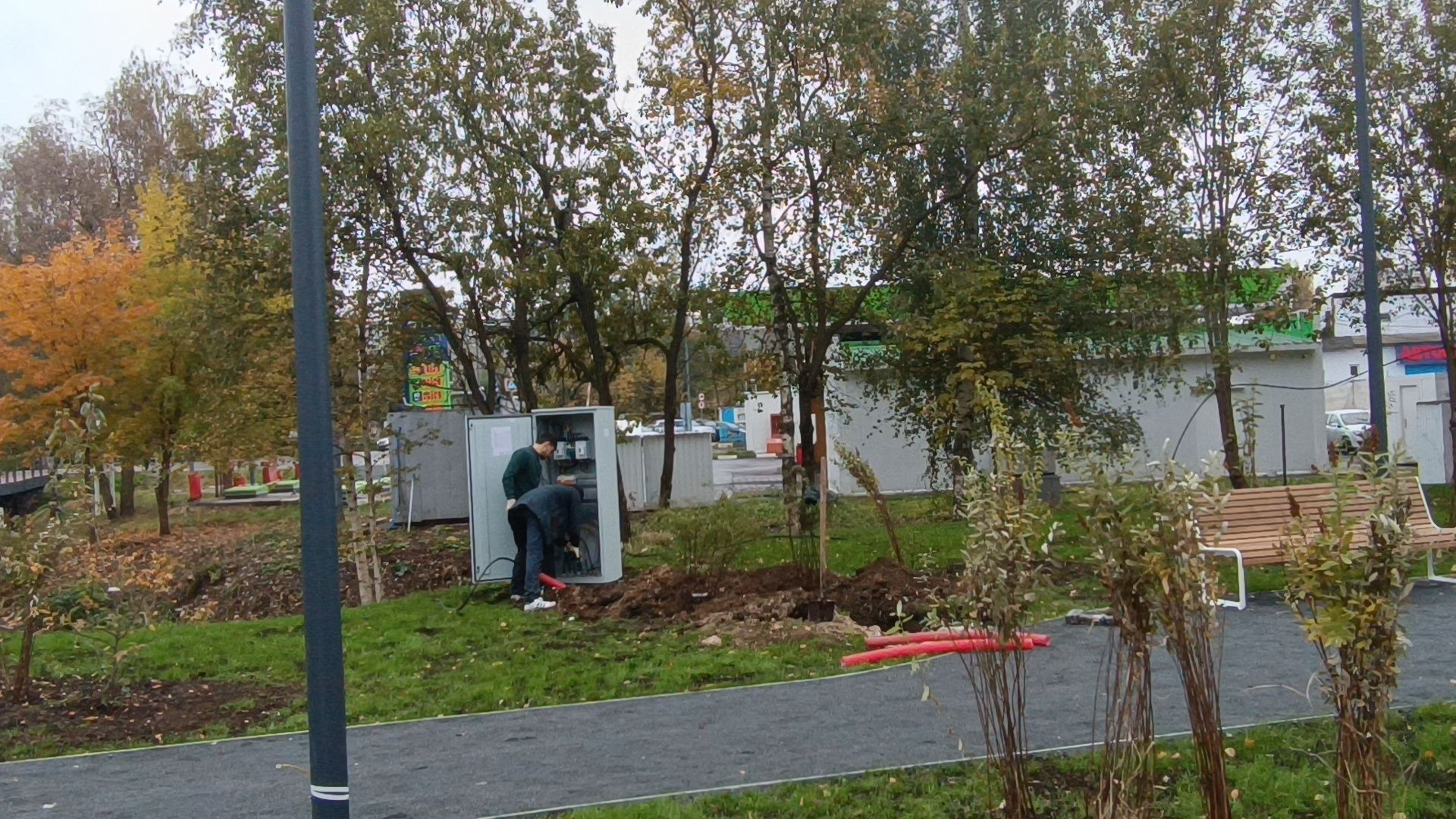 парк, лобня, собака,