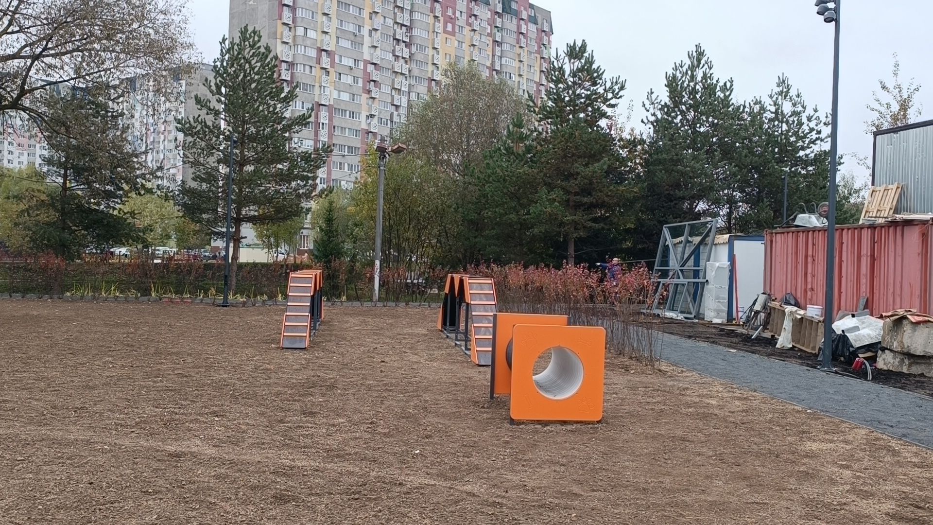 парк, лобня, собака,