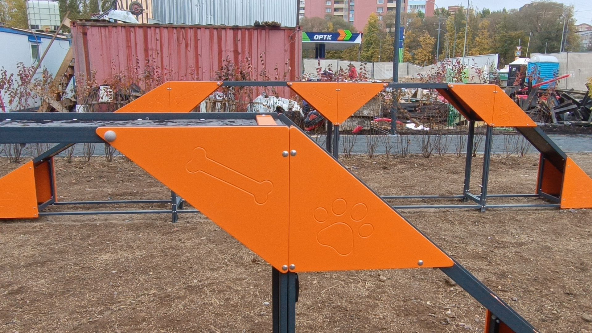 парк, лобня, собака,