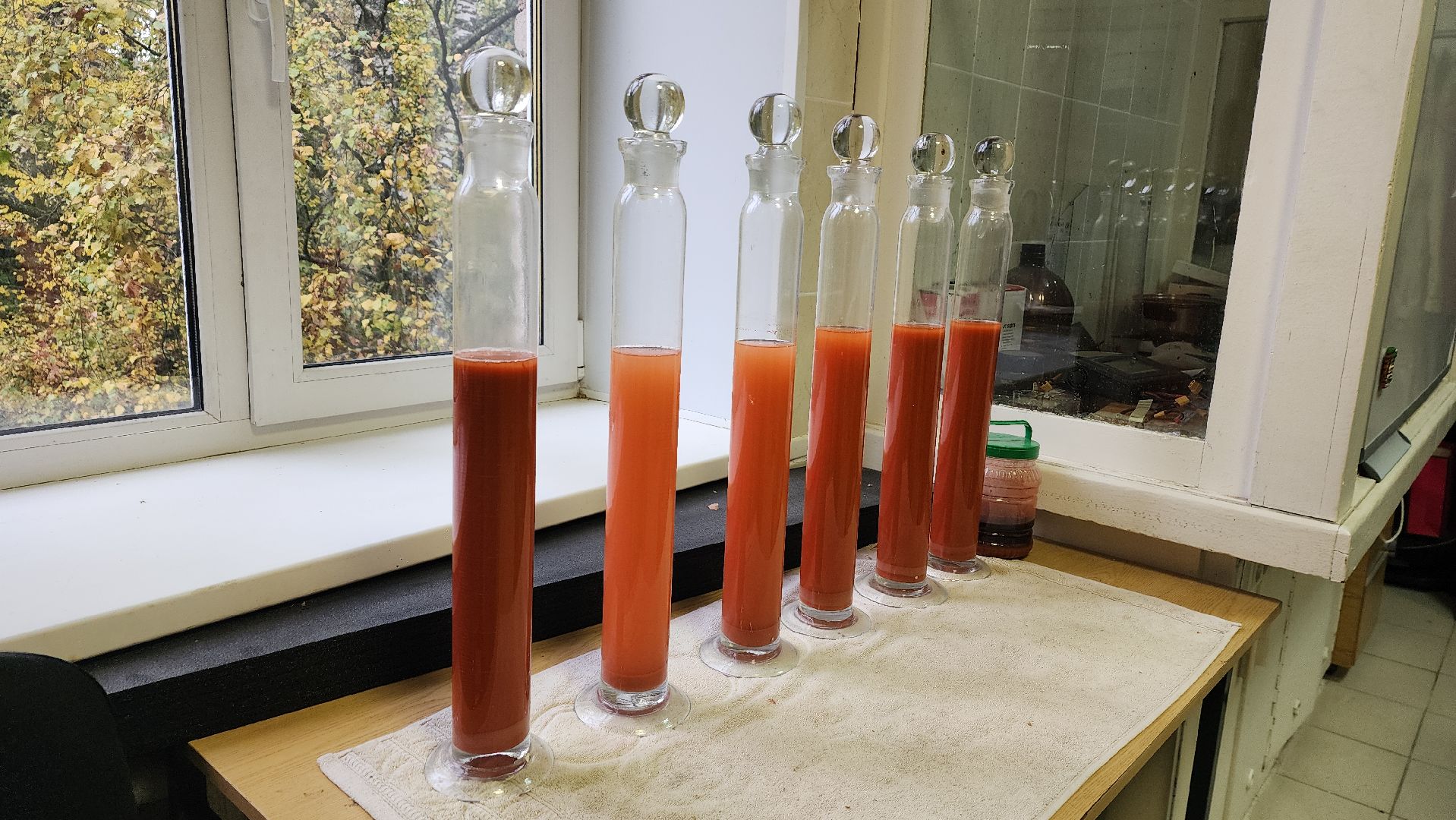 пушкино, лесное хозяйство,пожарная безопасность, пожарная безопасность в лесу, возгорание, тушение пожаров,лесовосстановление,фосфоритный, уникальная методика,