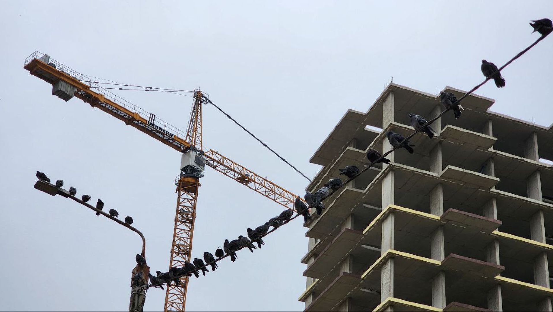 Дмитров, Строительство детсада, Минобразования,