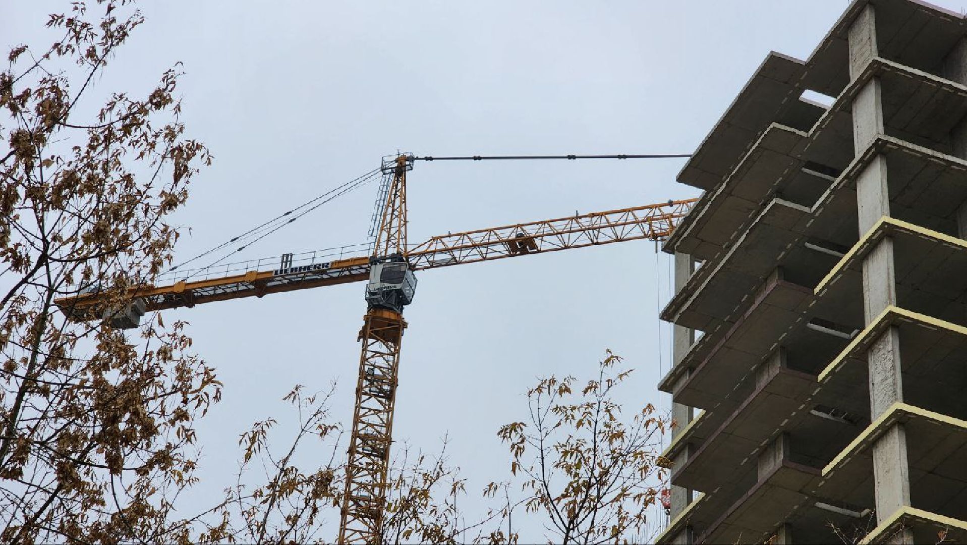 Дмитров, Строительство детсада, Минобразования,