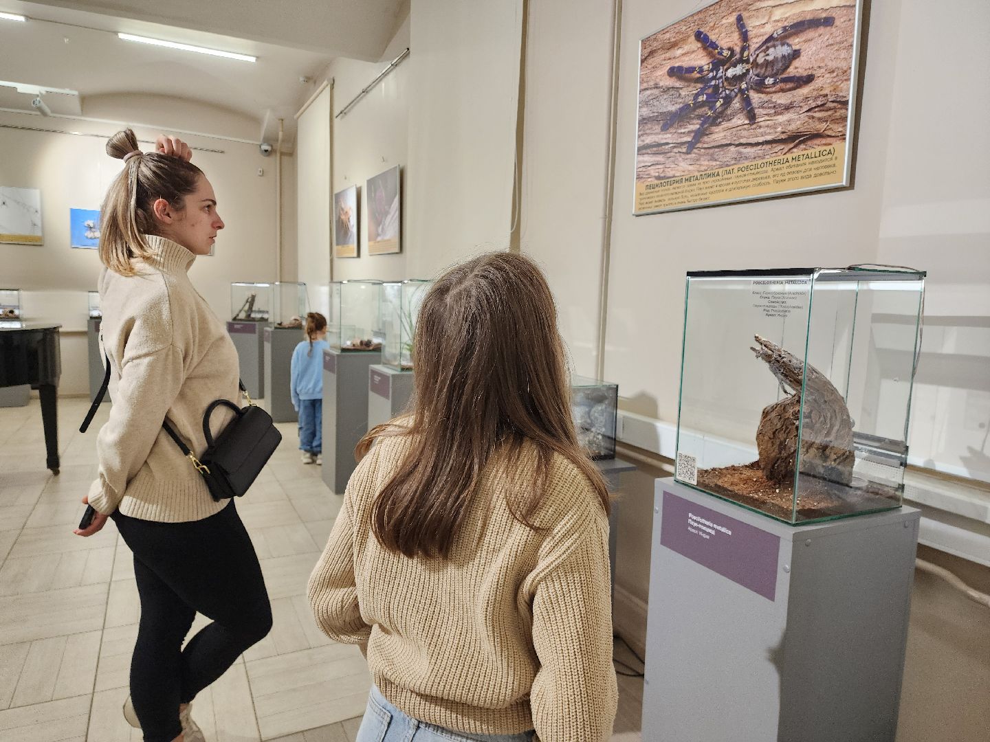 раменское, культура, раменский историко-художественный музей, выставка планета пауков,