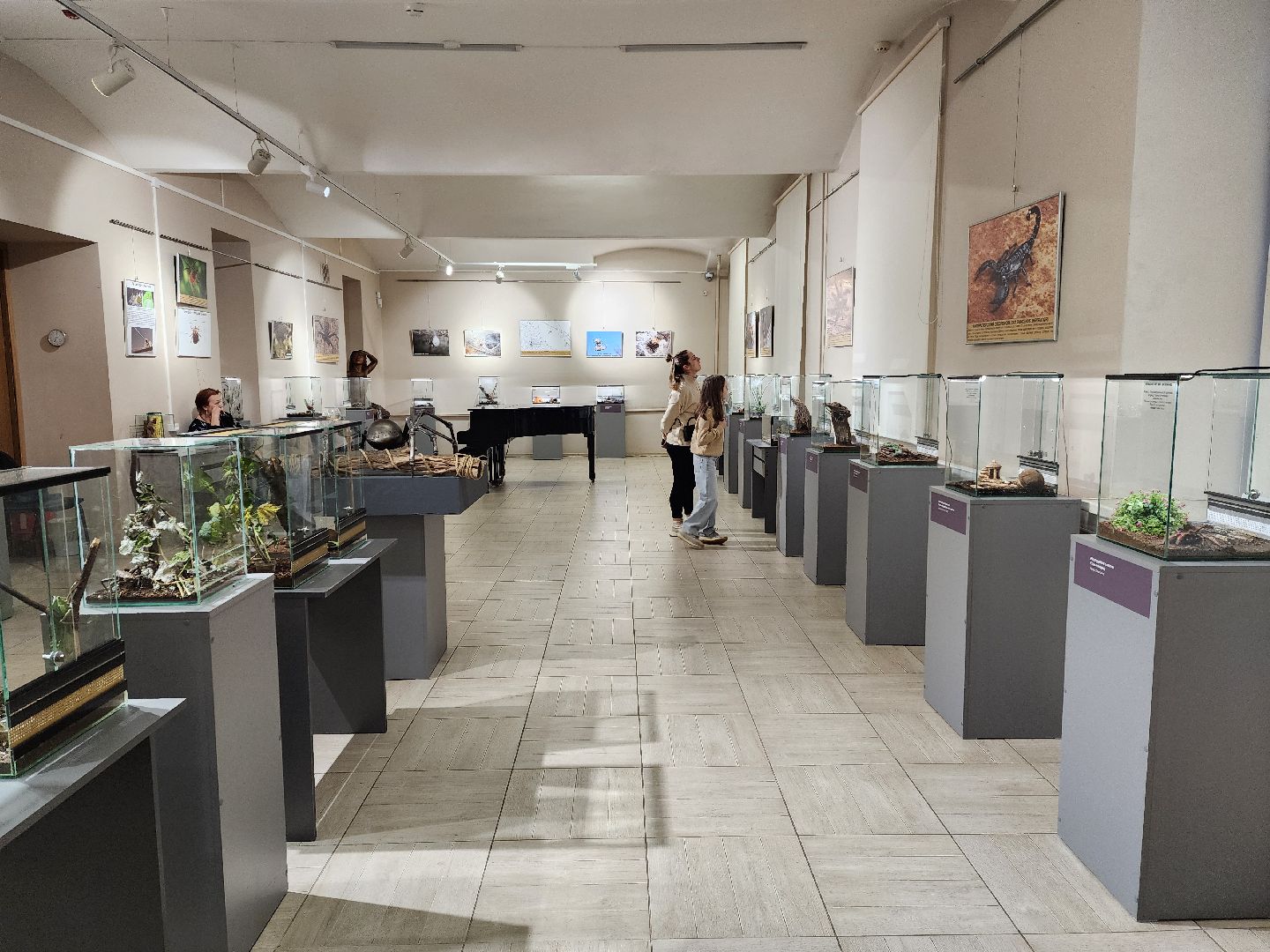 раменское, культура, раменский историко-художественный музей, выставка планета пауков,