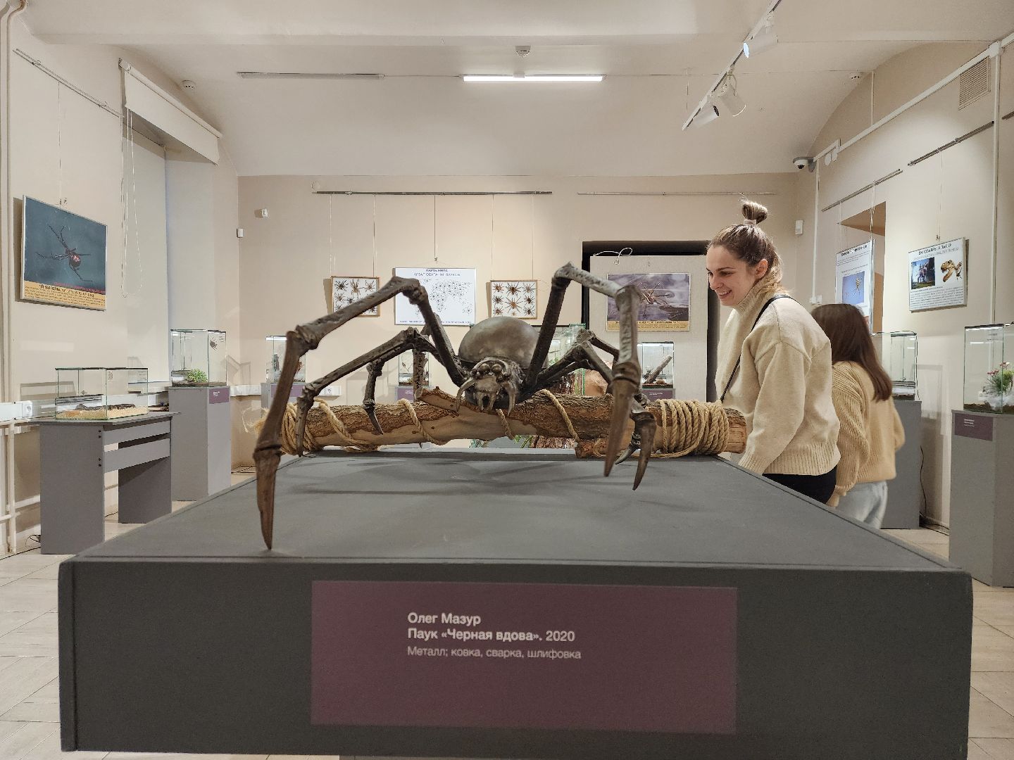 раменское, культура, раменский историко-художественный музей, выставка планета пауков,