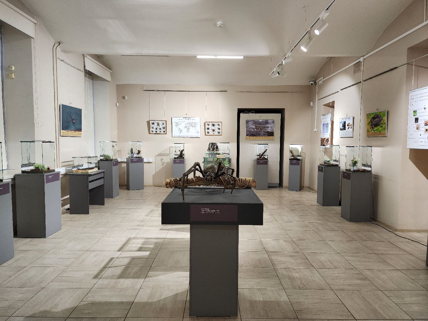 раменское, культура, раменский историко-художественный музей, выставка планета пауков,