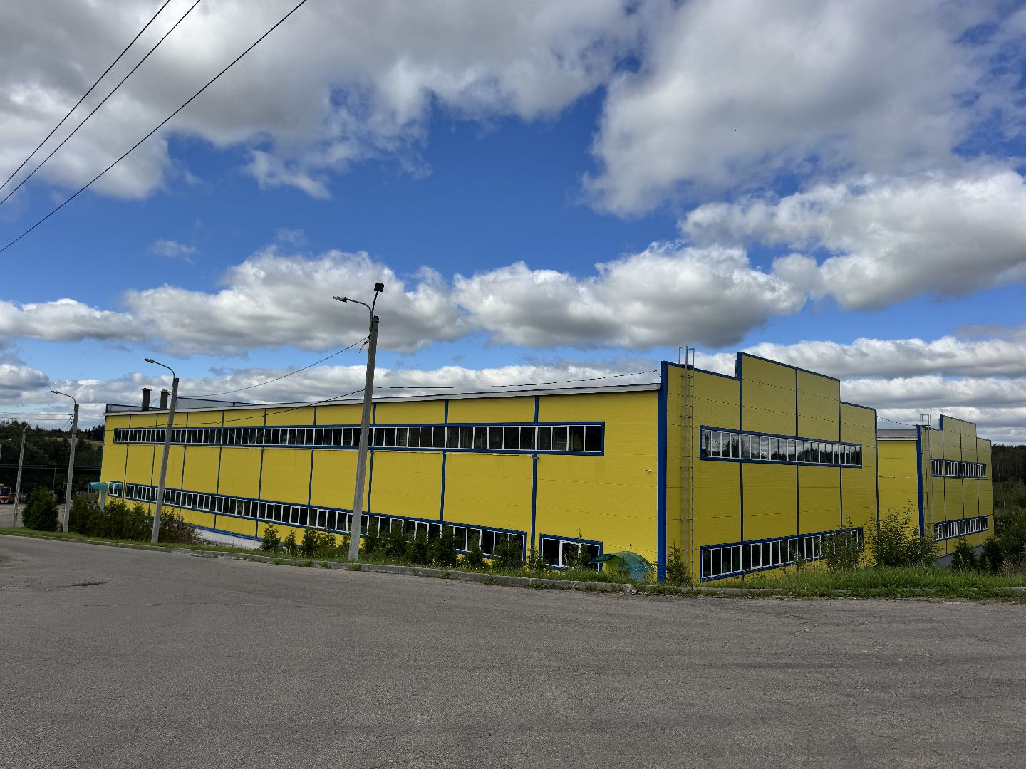 шаховская, завод, десятое королевство, игры к новому году,