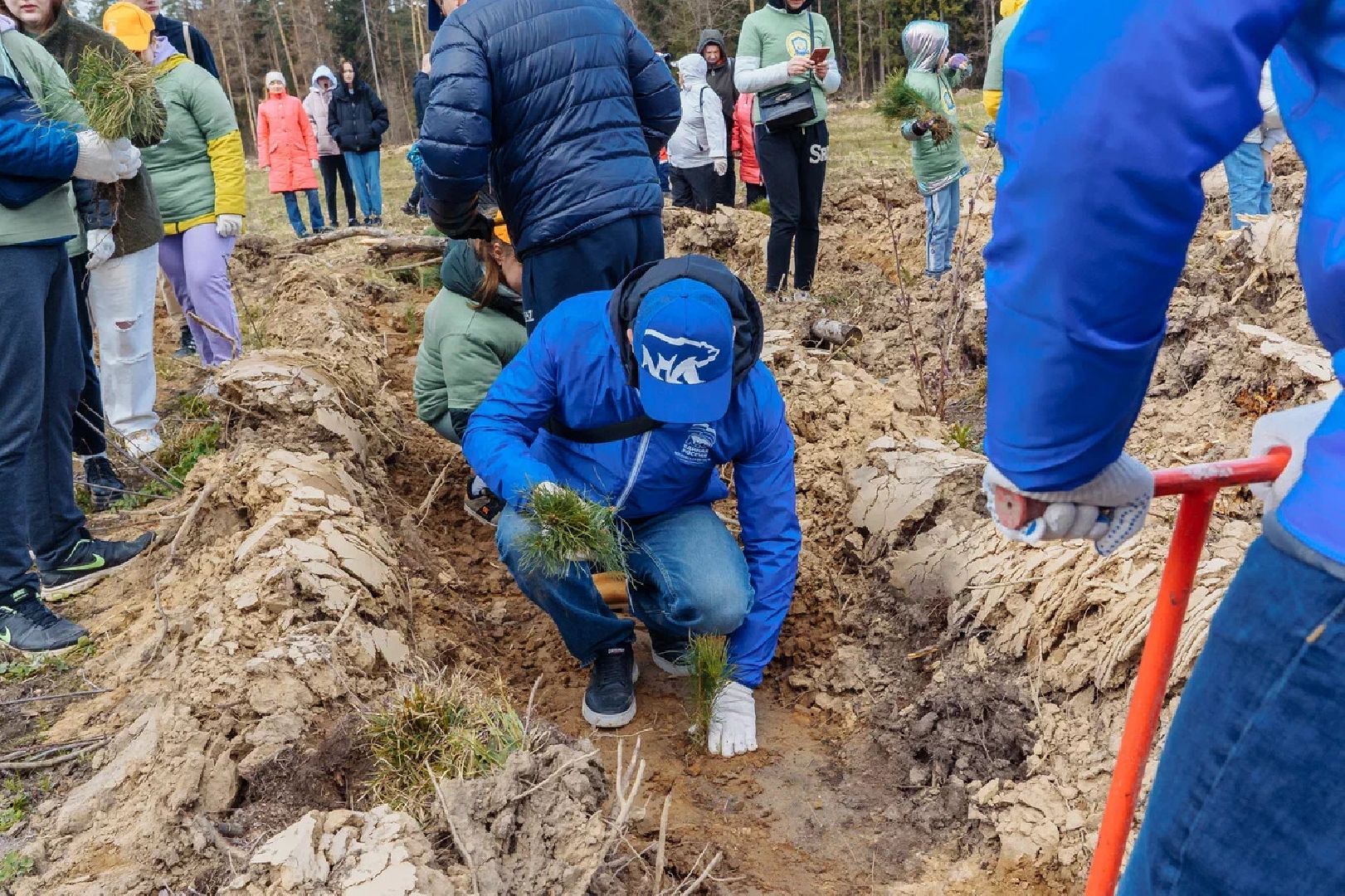 Лес Победы, Орехово-Зуево, анонс, Сад памяти