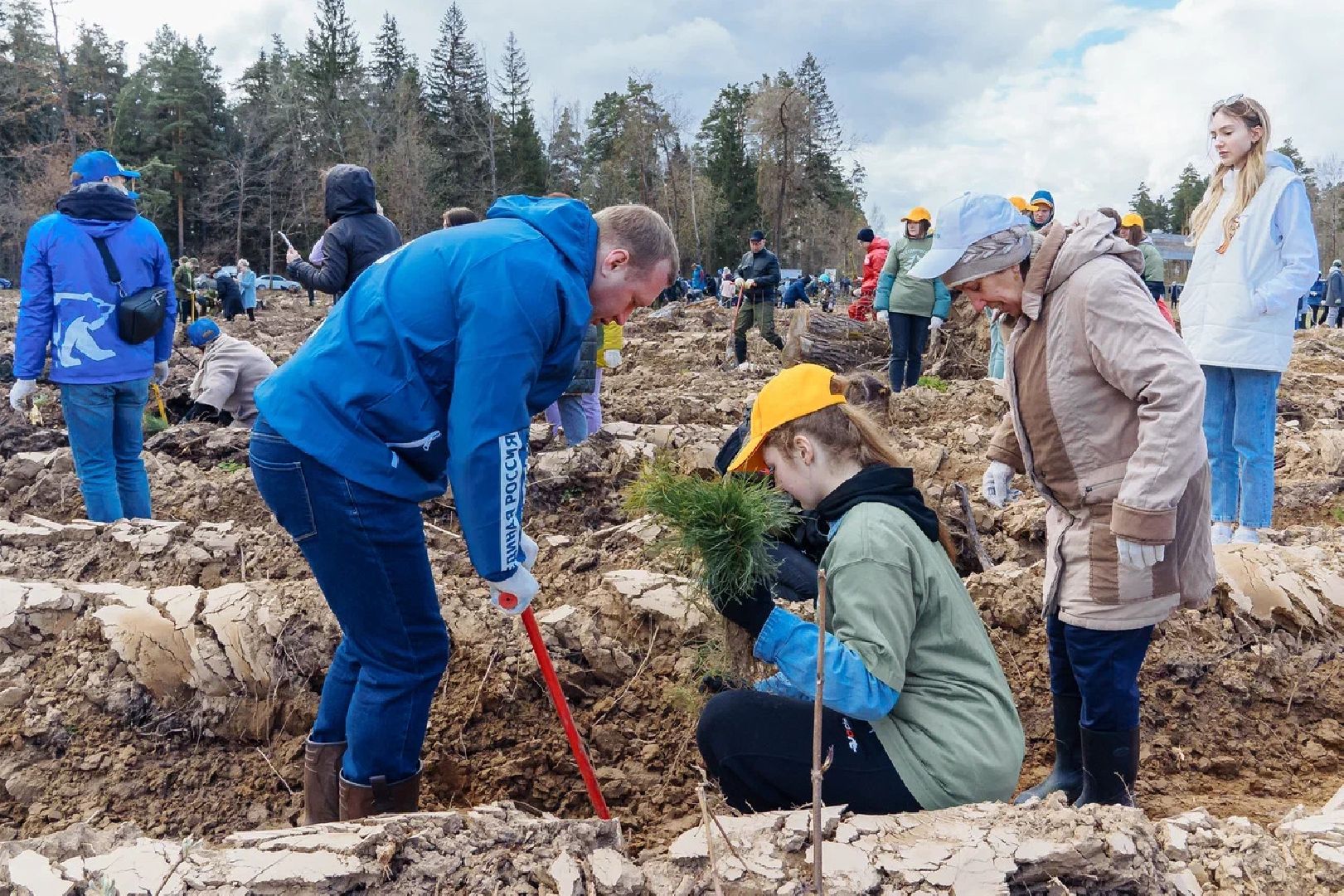 Лес Победы, Орехово-Зуево, анонс, Сад памяти