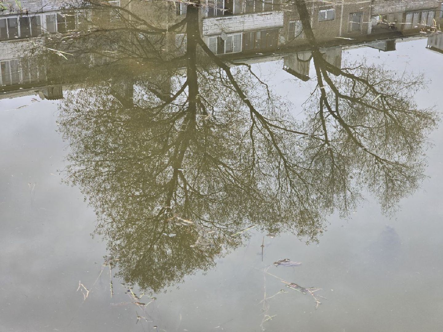 можайск, можайский муниципальный округ, подмосковье, ремонт пожарных водоемов, противопожарный пруд, безопасность, благоустройство,