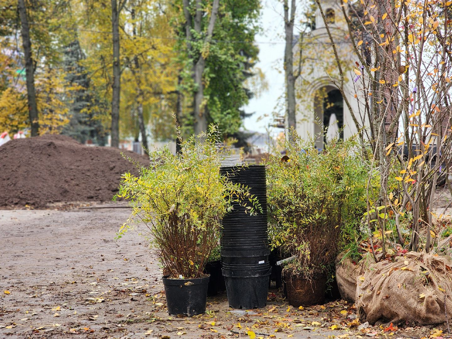 благоустройство, сквер, программа благоустройства, ногинск, богородский городской округ,