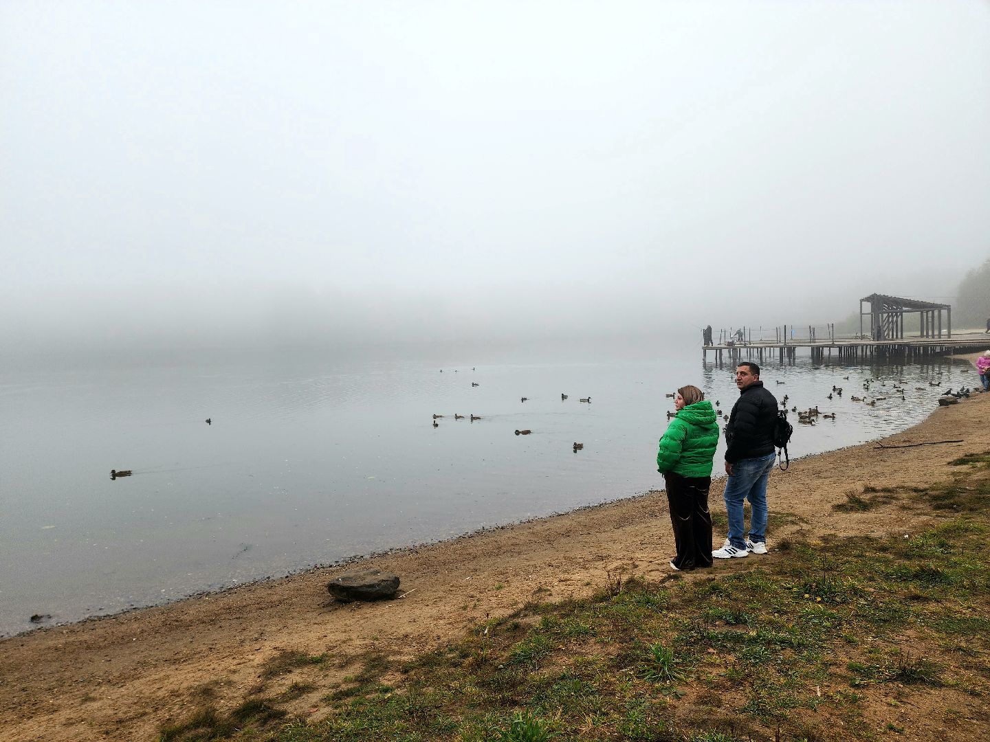 солнечногорск, сенеж , осень, туман, озеро,