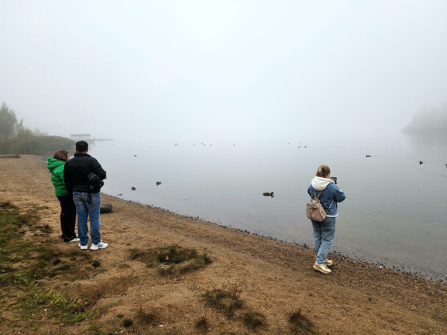 солнечногорск, сенеж , осень, туман, озеро,