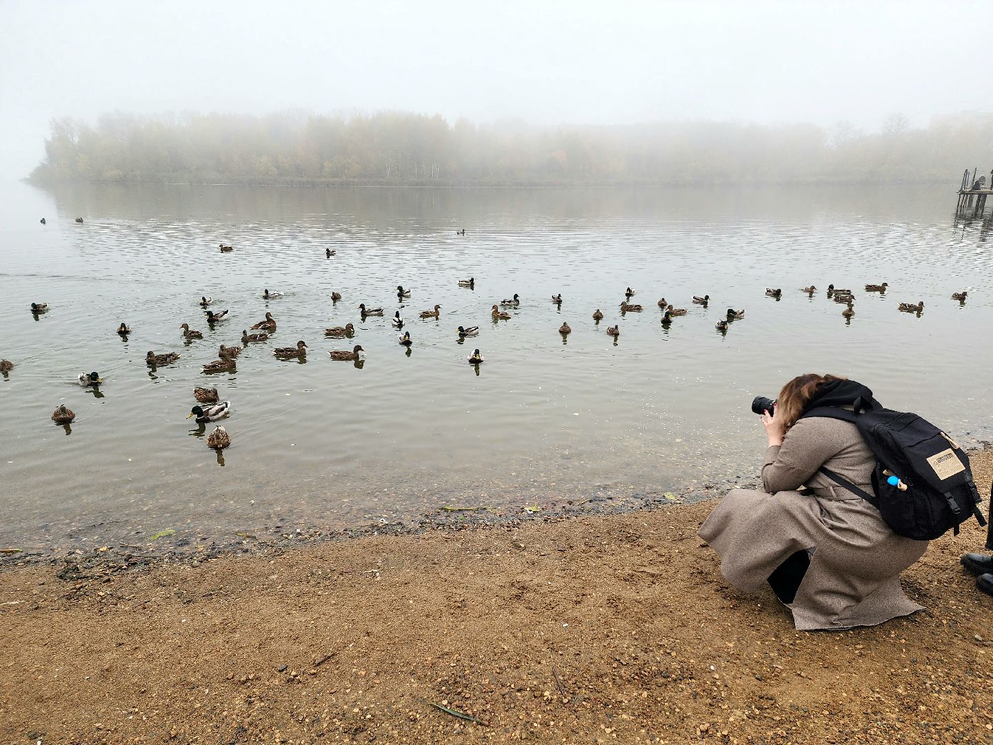 солнечногорск, сенеж , осень, туман, озеро,