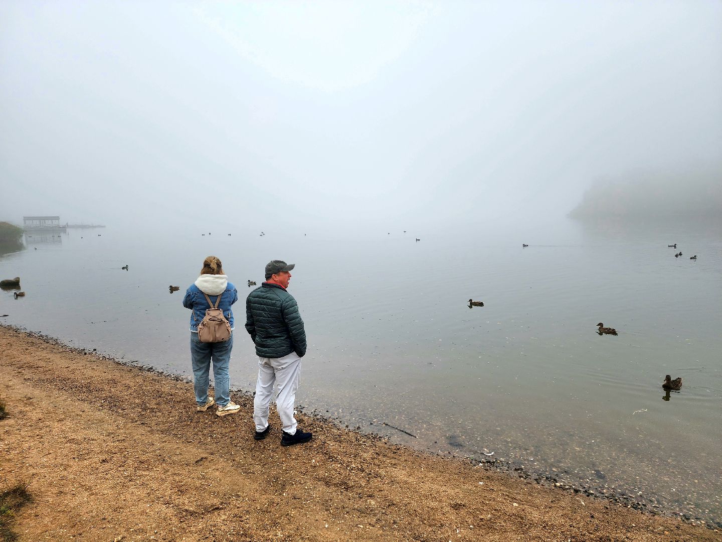 солнечногорск, сенеж , осень, туман, озеро,