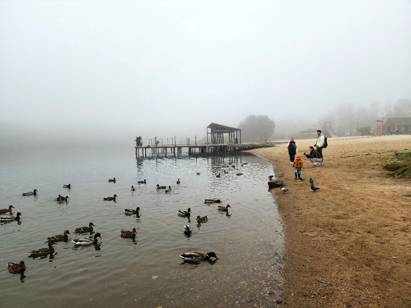 солнечногорск, сенеж , осень, туман, озеро,