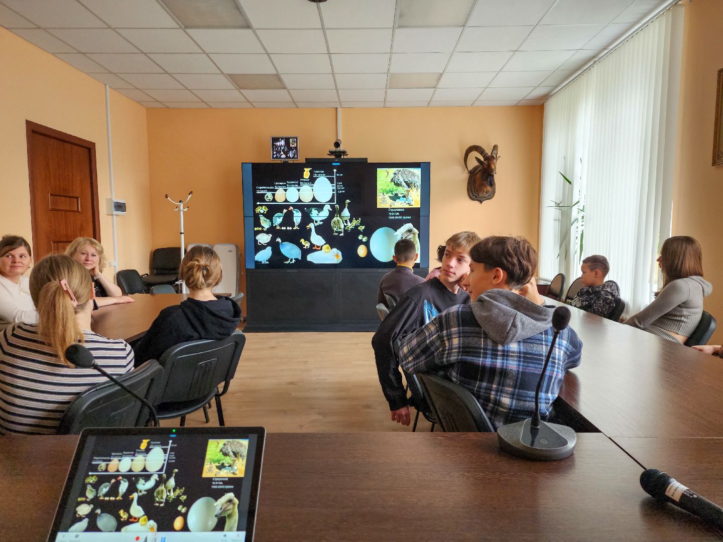 Подольск,  ФИЦ ВИЖ имени Эрнста,Мастер класс, Каникулы,