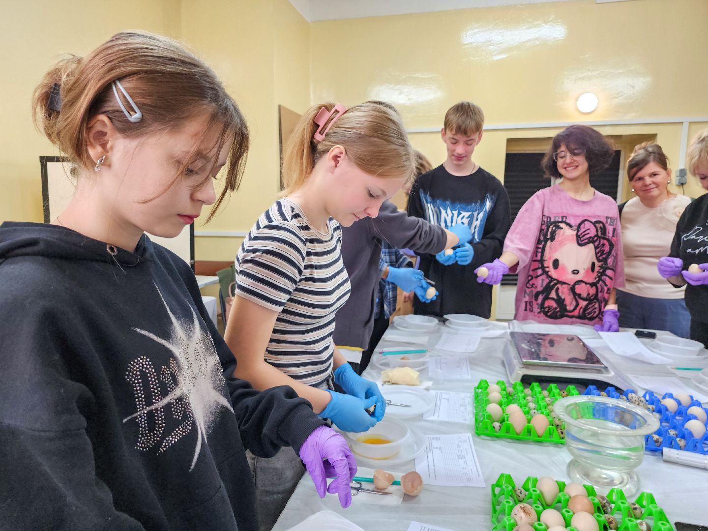 Подольск,  ФИЦ ВИЖ имени Эрнста,Мастер класс, Каникулы,