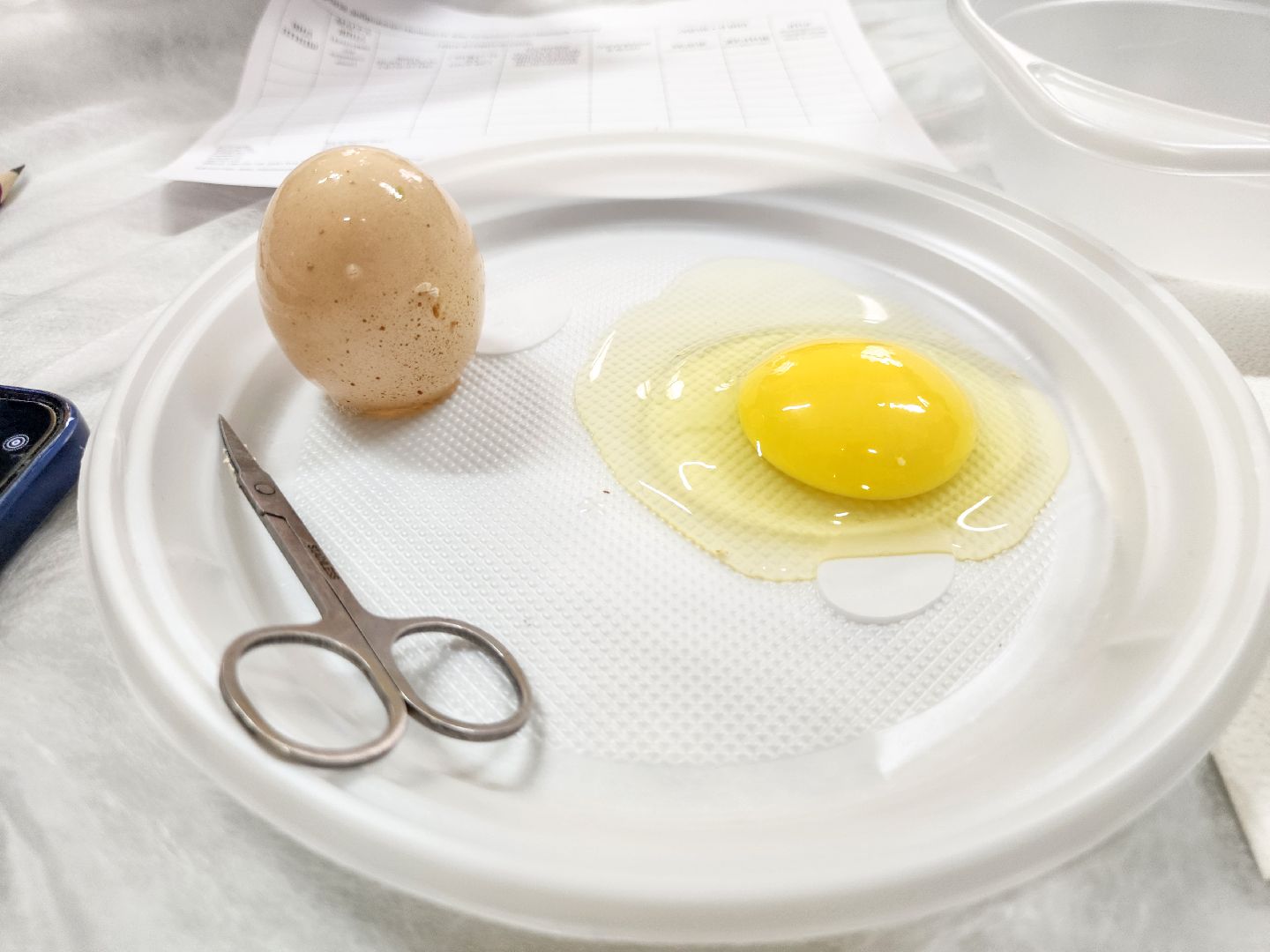 Подольск,  ФИЦ ВИЖ имени Эрнста,Мастер класс, Каникулы,