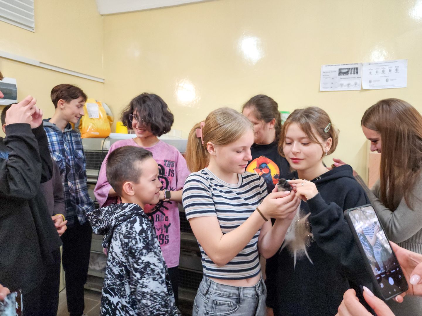 Подольск,  ФИЦ ВИЖ имени Эрнста,Мастер класс, Каникулы,