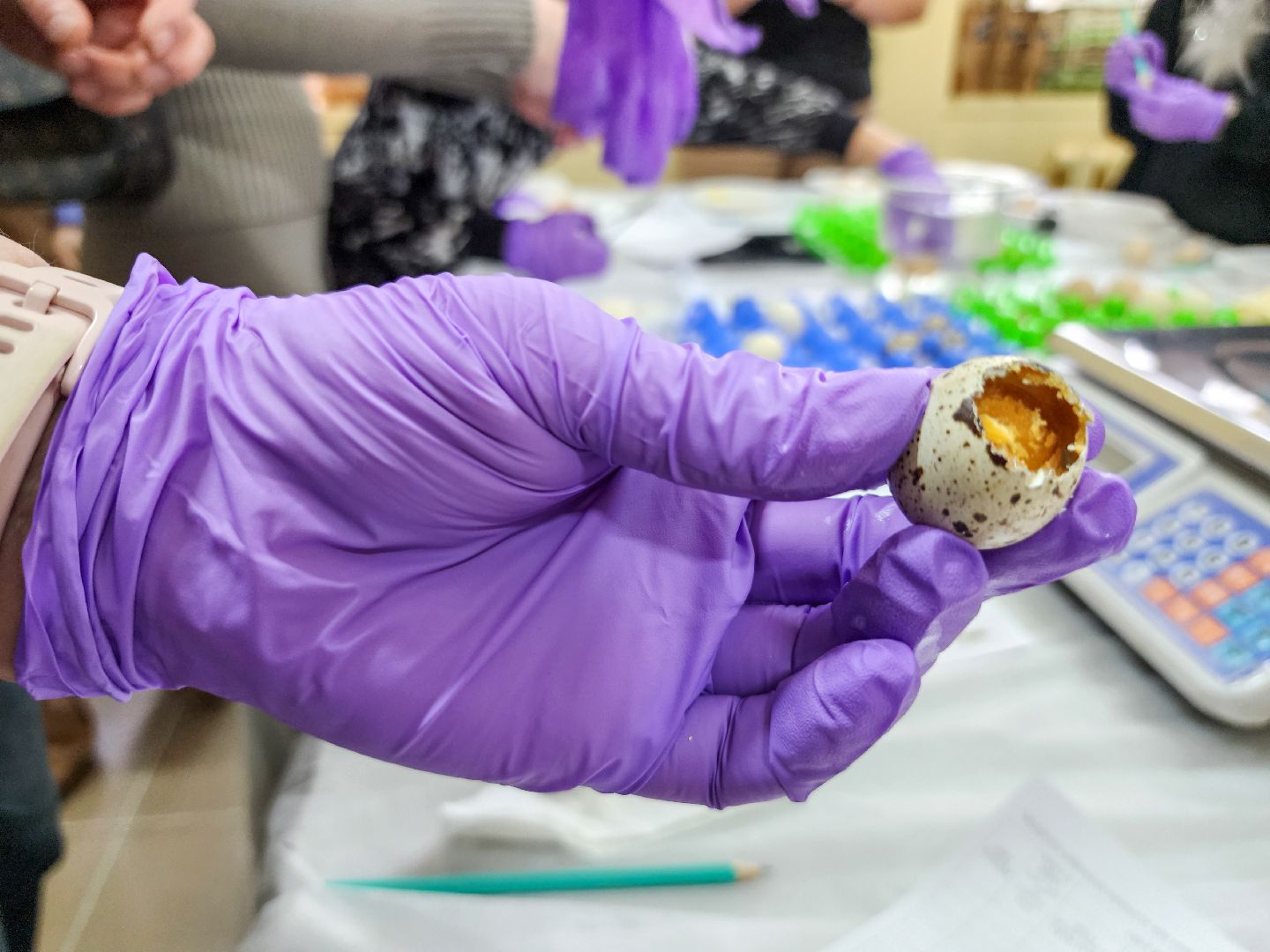 Подольск,  ФИЦ ВИЖ имени Эрнста,Мастер класс, Каникулы,