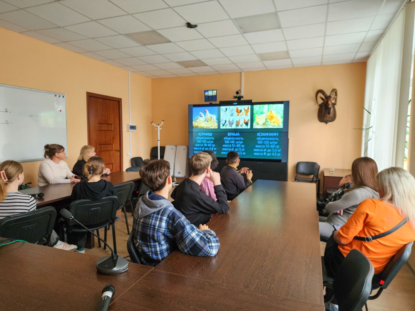 Подольск,  ФИЦ ВИЖ имени Эрнста,Мастер класс, Каникулы,