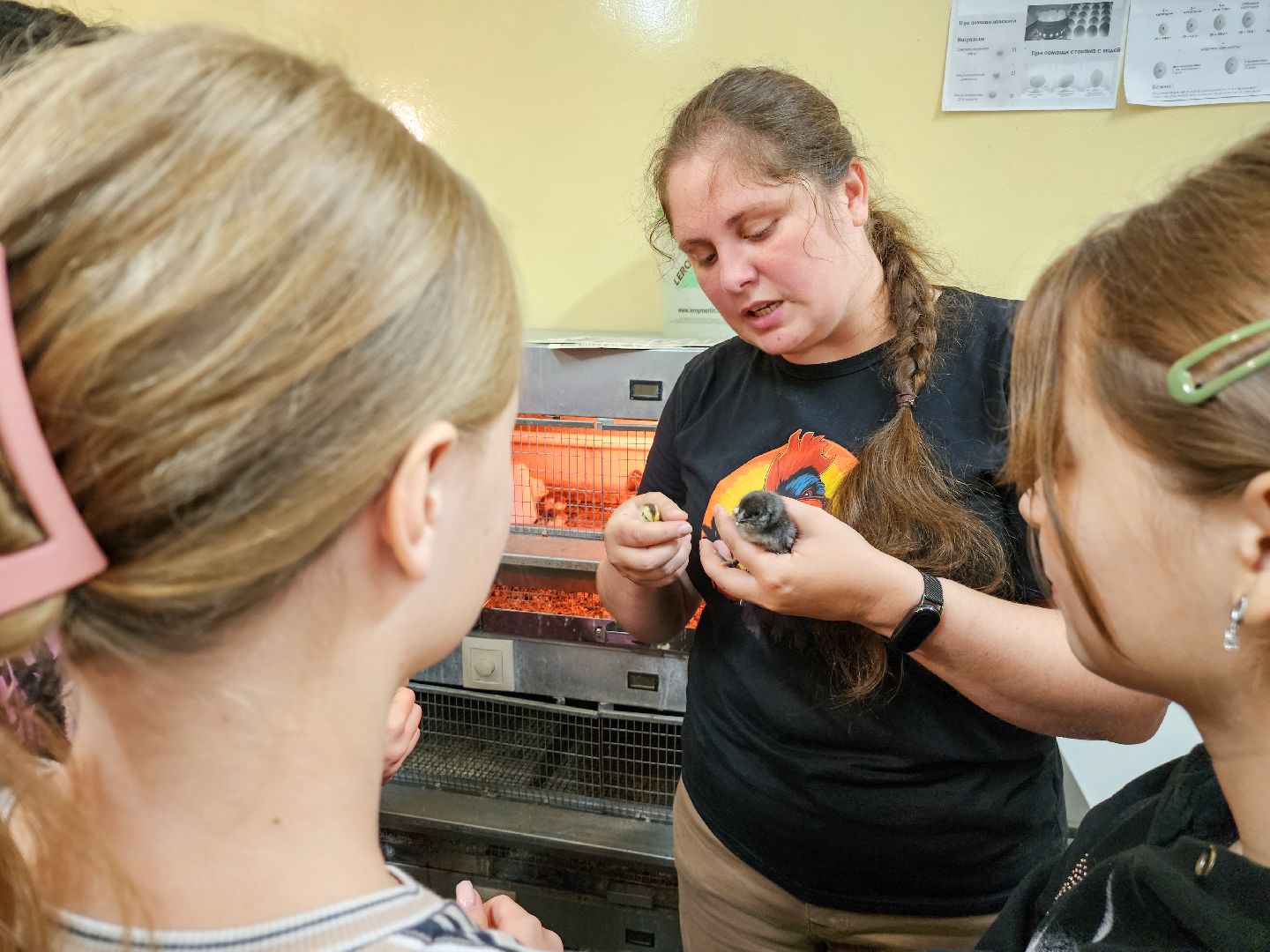 Подольск,  ФИЦ ВИЖ имени Эрнста,Мастер класс, Каникулы,