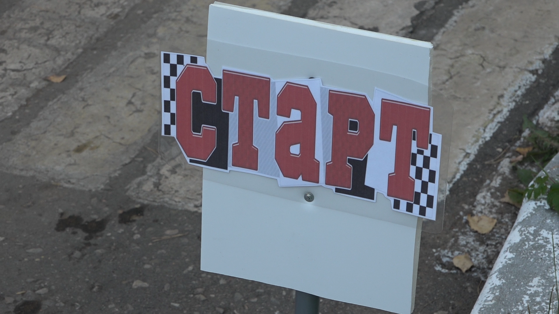 кросс наций, школа попова, спортивный бег, дошкольное отделение Попова, теремок школы попова,