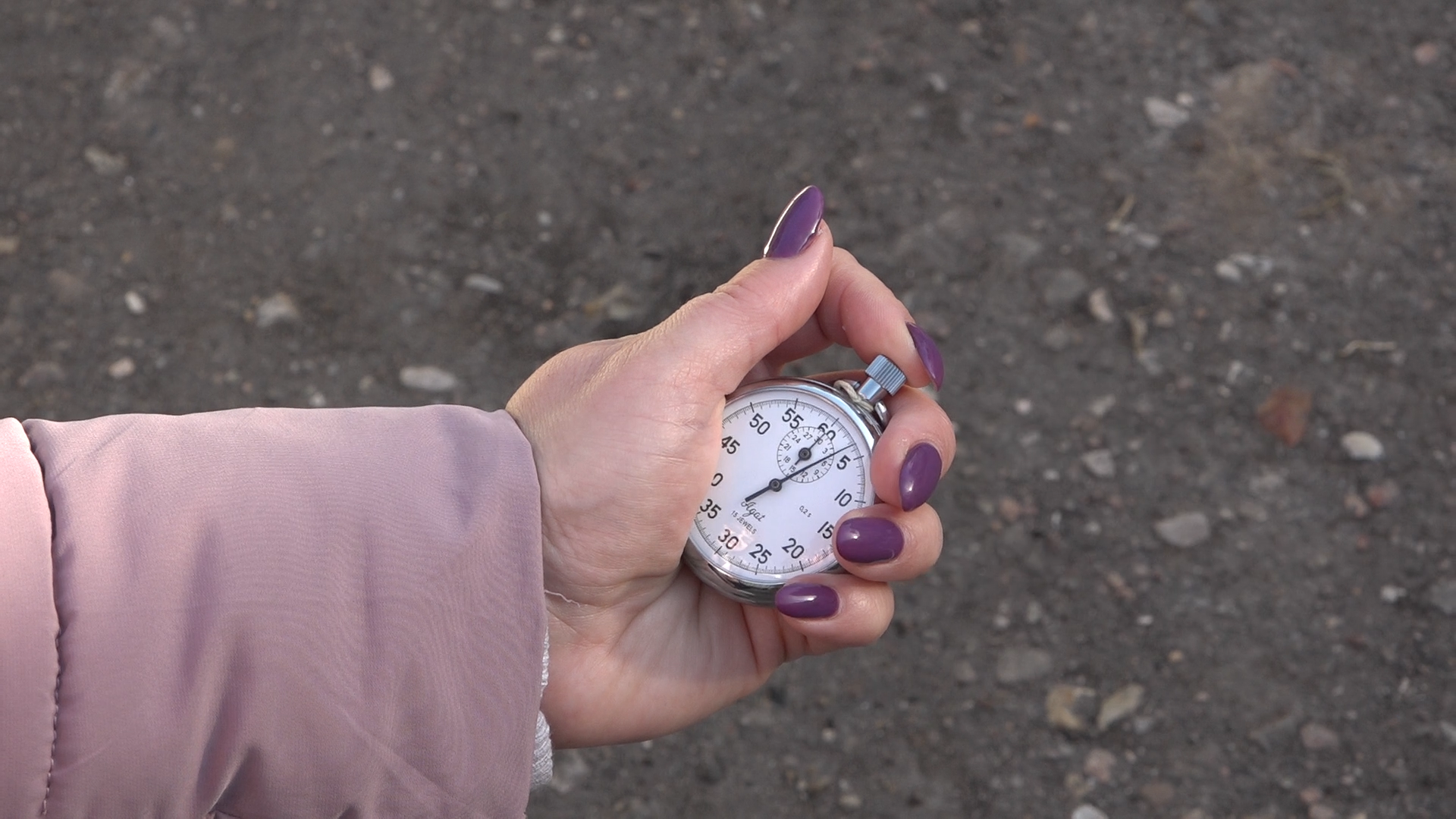 кросс наций, школа попова, спортивный бег, дошкольное отделение Попова, теремок школы попова,