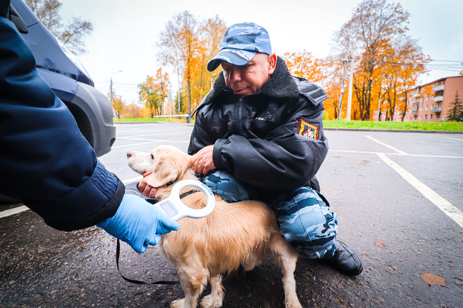 клин, общество, медицина, вакцинация животных, осень, ветеринары,