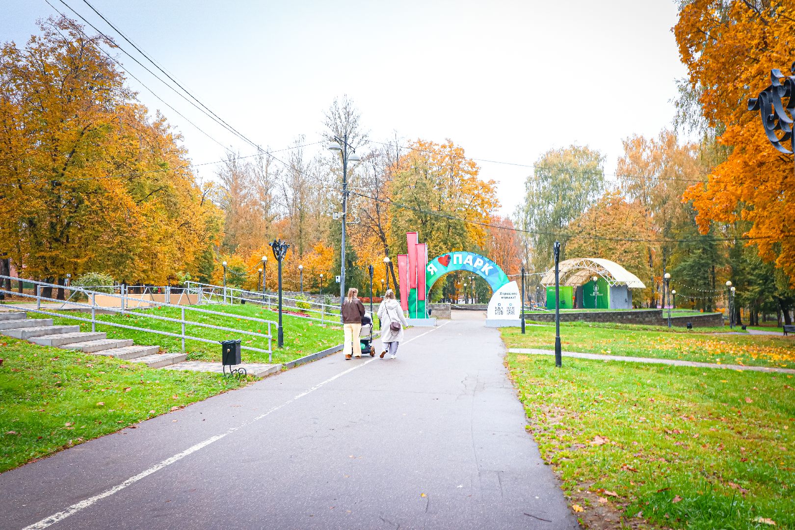 клин, общество, медицина, вакцинация животных, осень, ветеринары,