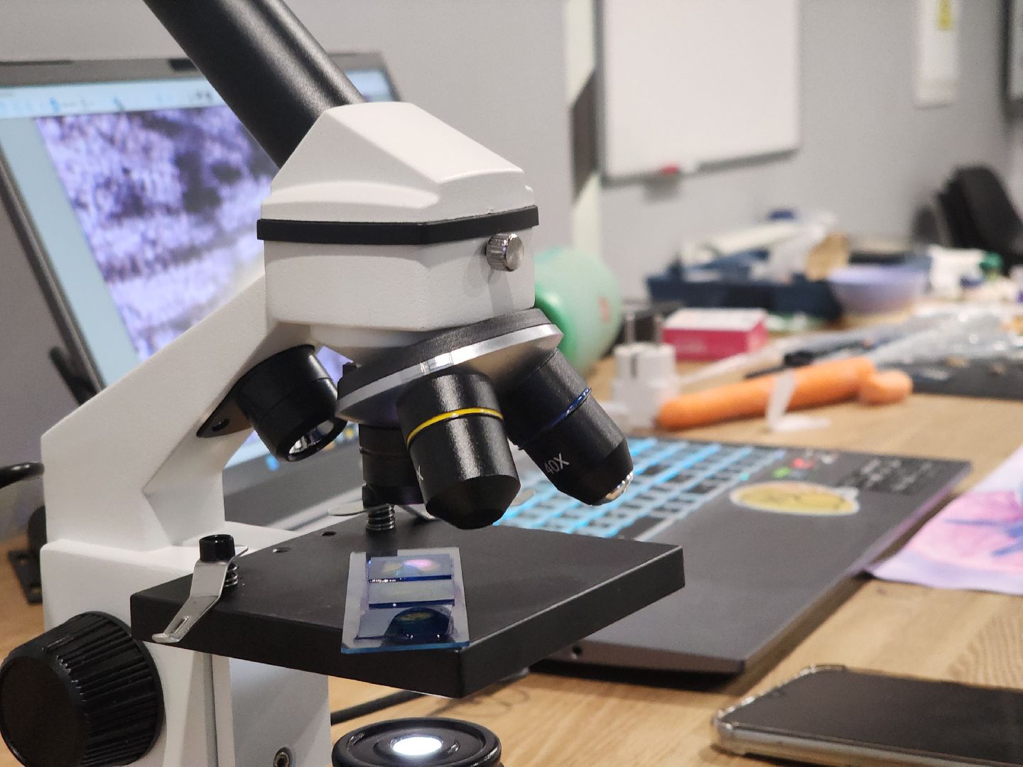 Черноголовка, Наука, Мастер-класс,