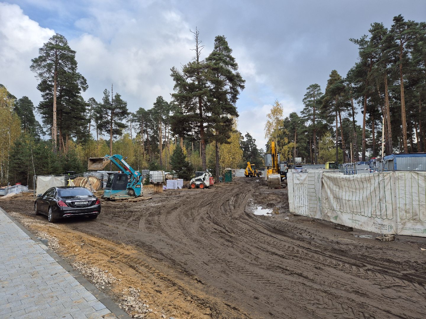 благоустройство парка, парковский лес, орехово-зуево,
