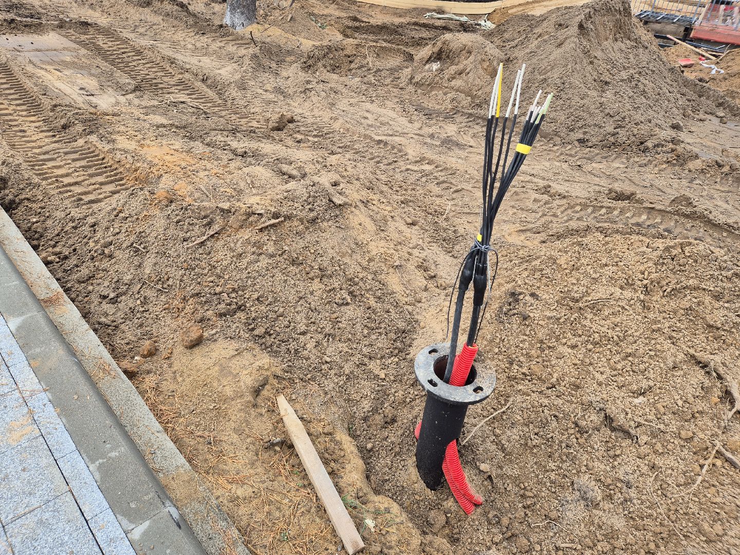 благоустройство парка, парковский лес, орехово-зуево,