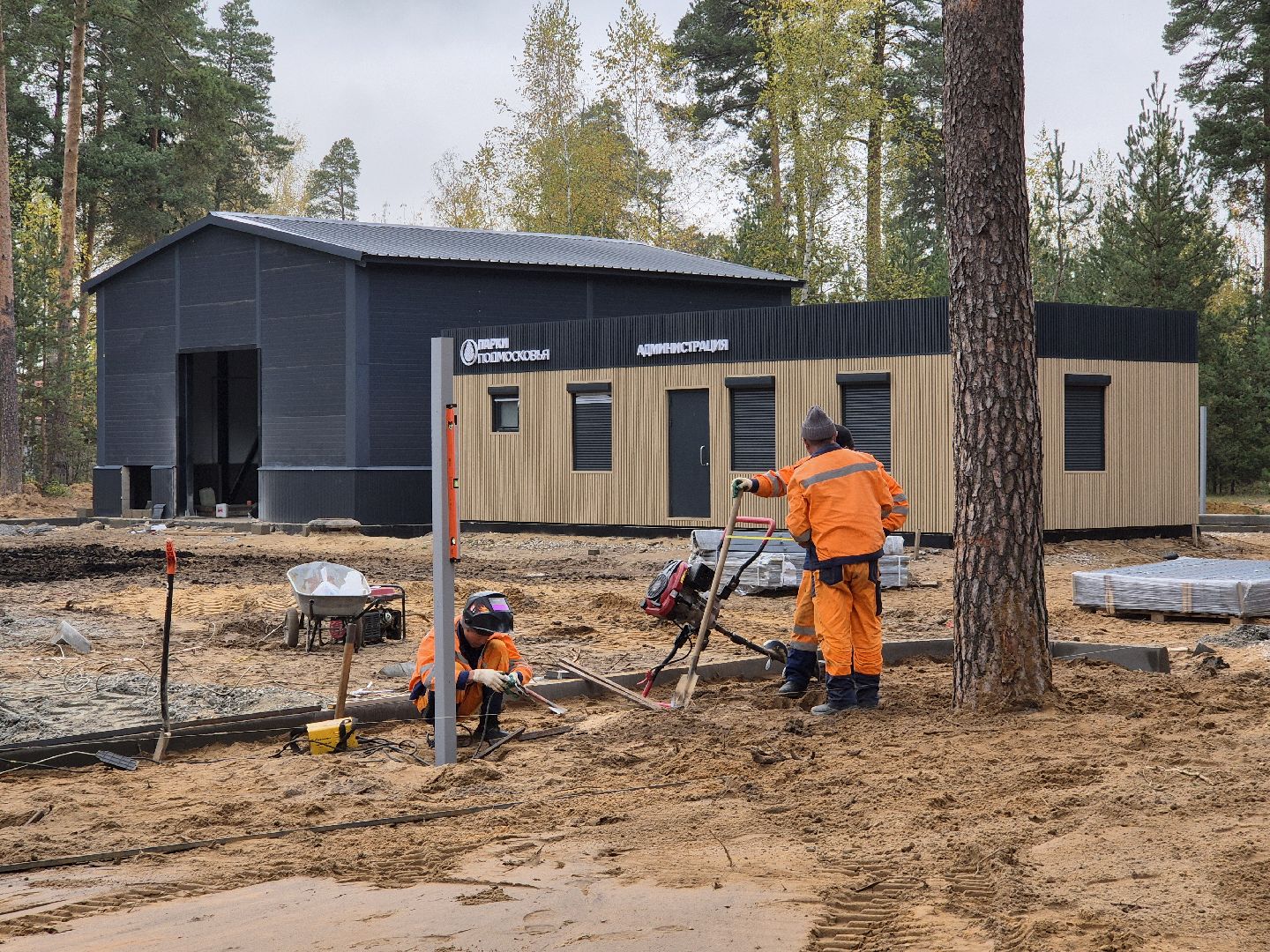 благоустройство парка, парковский лес, орехово-зуево,