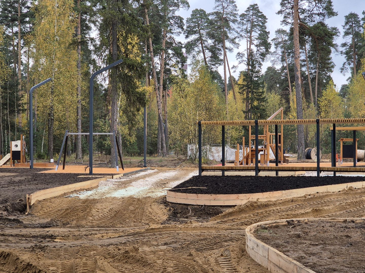благоустройство парка, парковский лес, орехово-зуево,