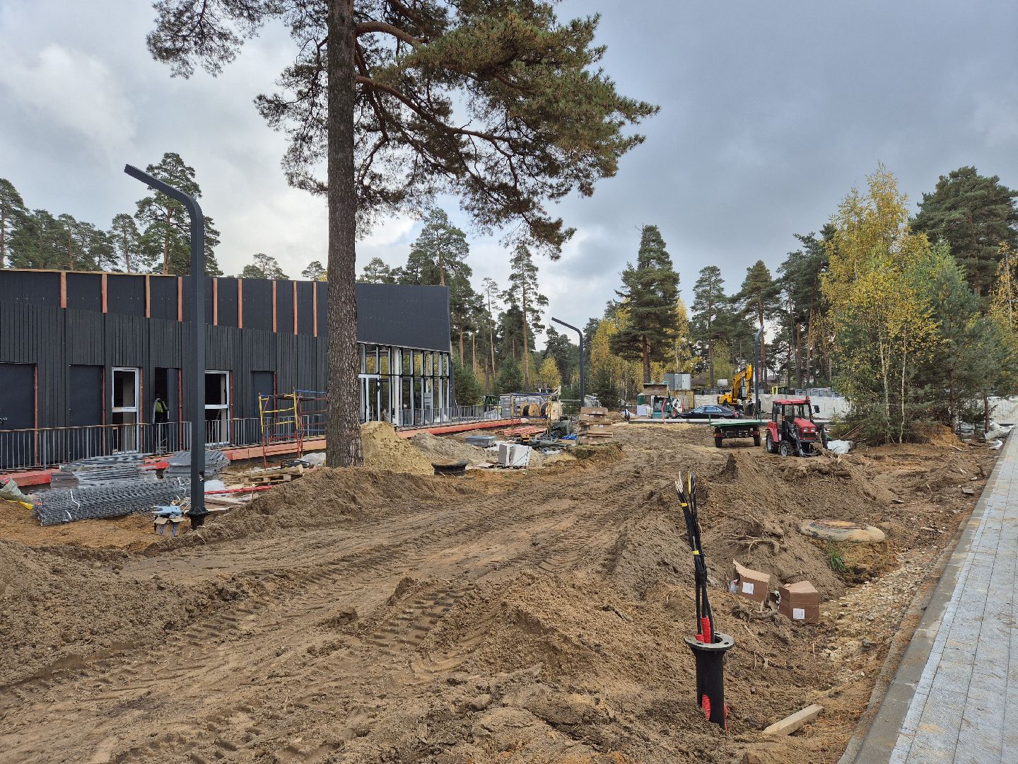 благоустройство парка, парковский лес, орехово-зуево,