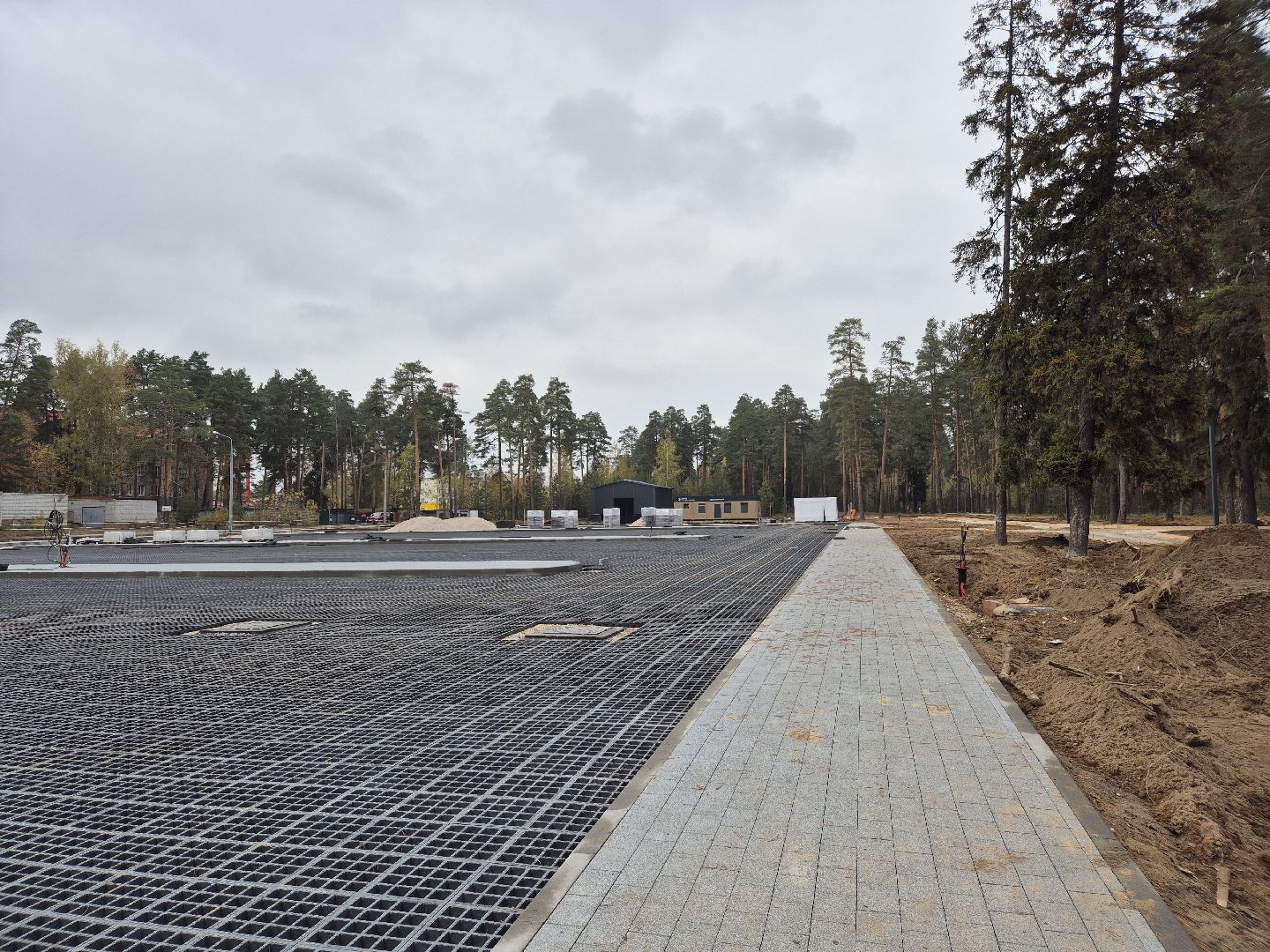 благоустройство парка, парковский лес, орехово-зуево,