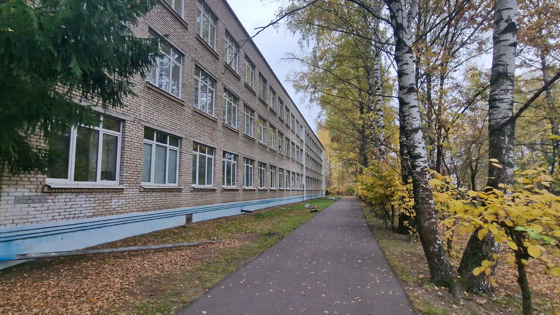 гимназия3дубна, новыеокнавшколах,