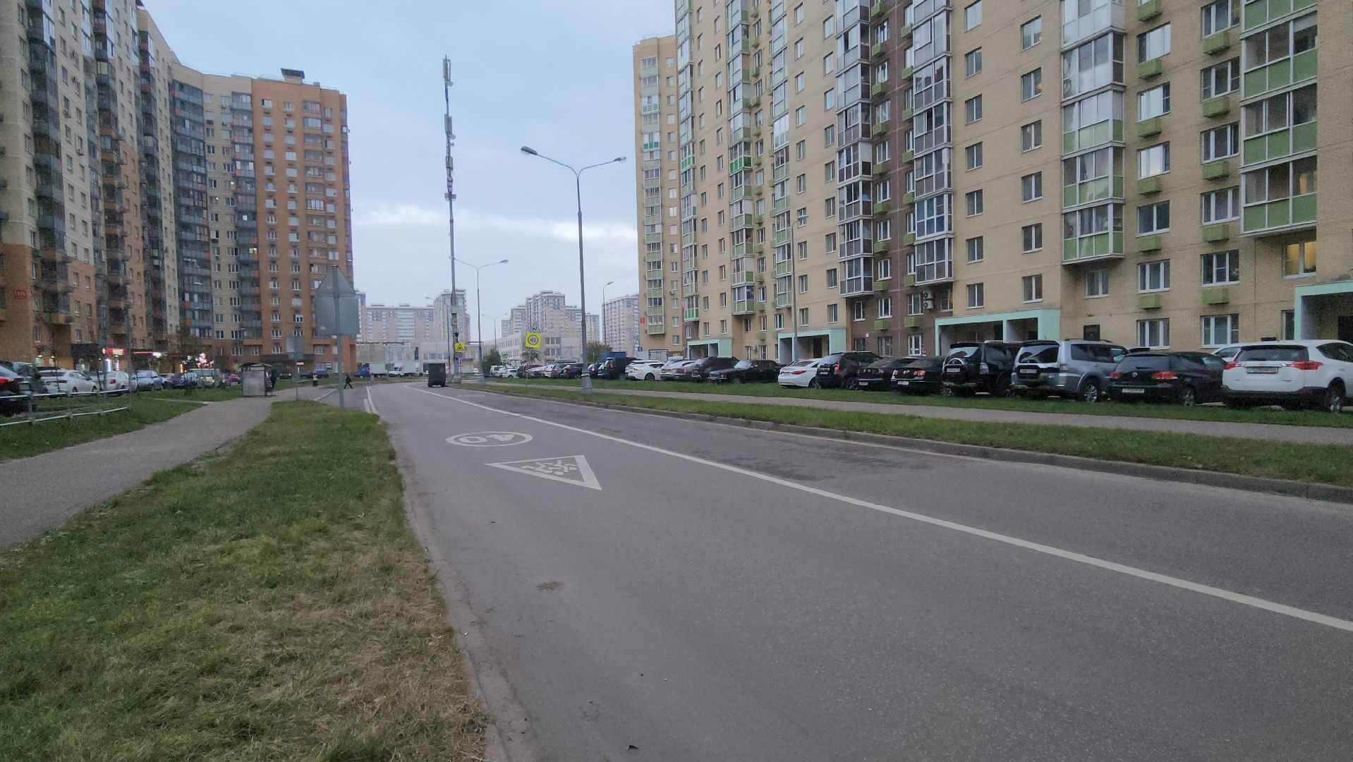 Люберцы, выездная администиация, глава люберец владимир волков, жители,пешеходный переход, безопасность дорожного движения,