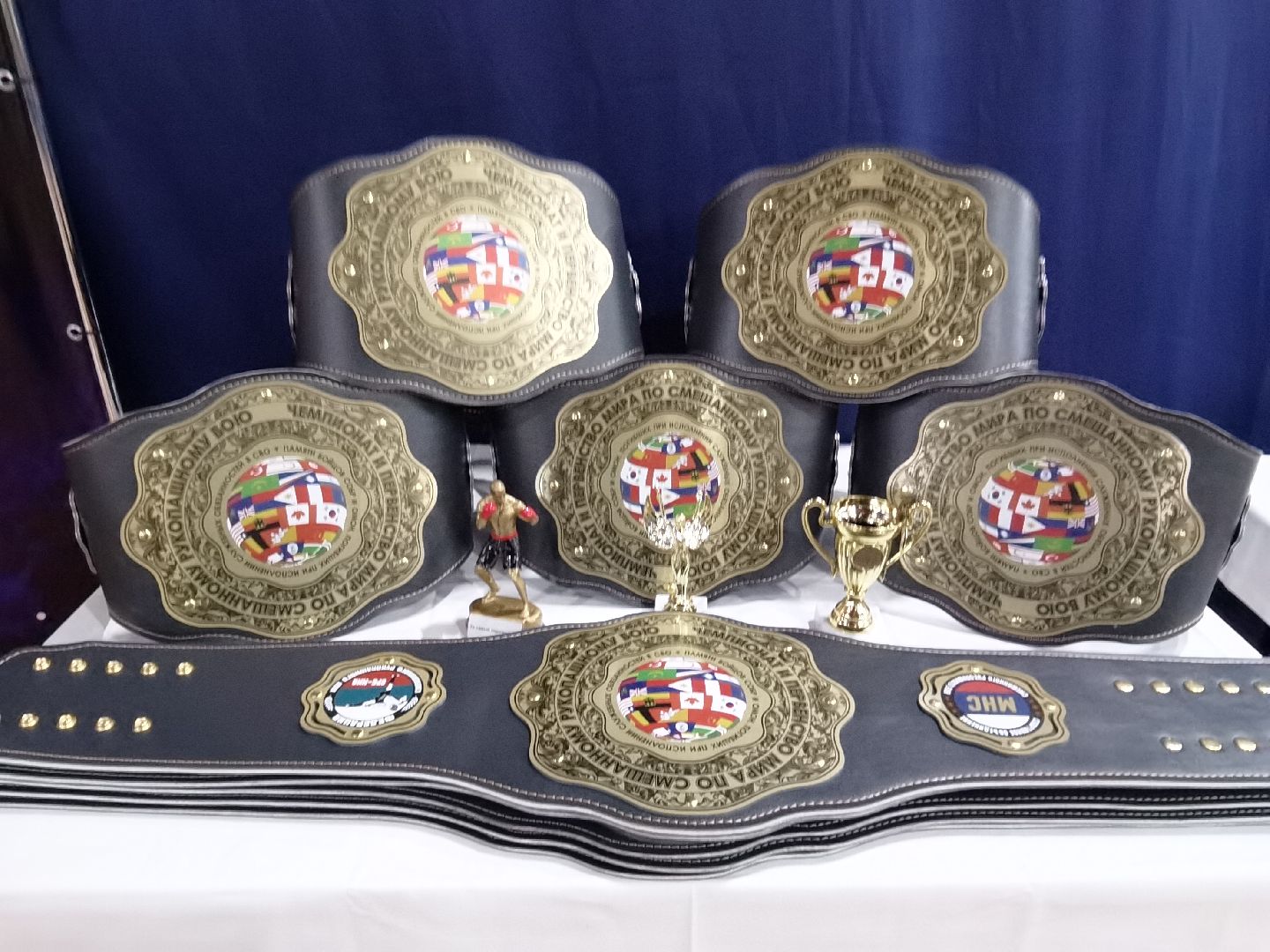 Балашиха, Москва, Роман Новиков, Чемпионат Мира по смешанному рукопашному бою, ММА, Федерация смешанного рукопашного боя, Герой России Александр Головашкин, поединок, все едины