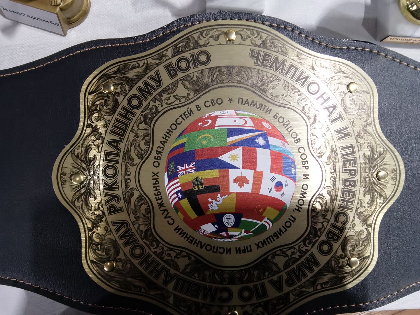 Балашиха, Москва, Роман Новиков, Чемпионат Мира по смешанному рукопашному бою, ММА, Федерация смешанного рукопашного боя, Герой России Александр Головашкин, поединок, все едины