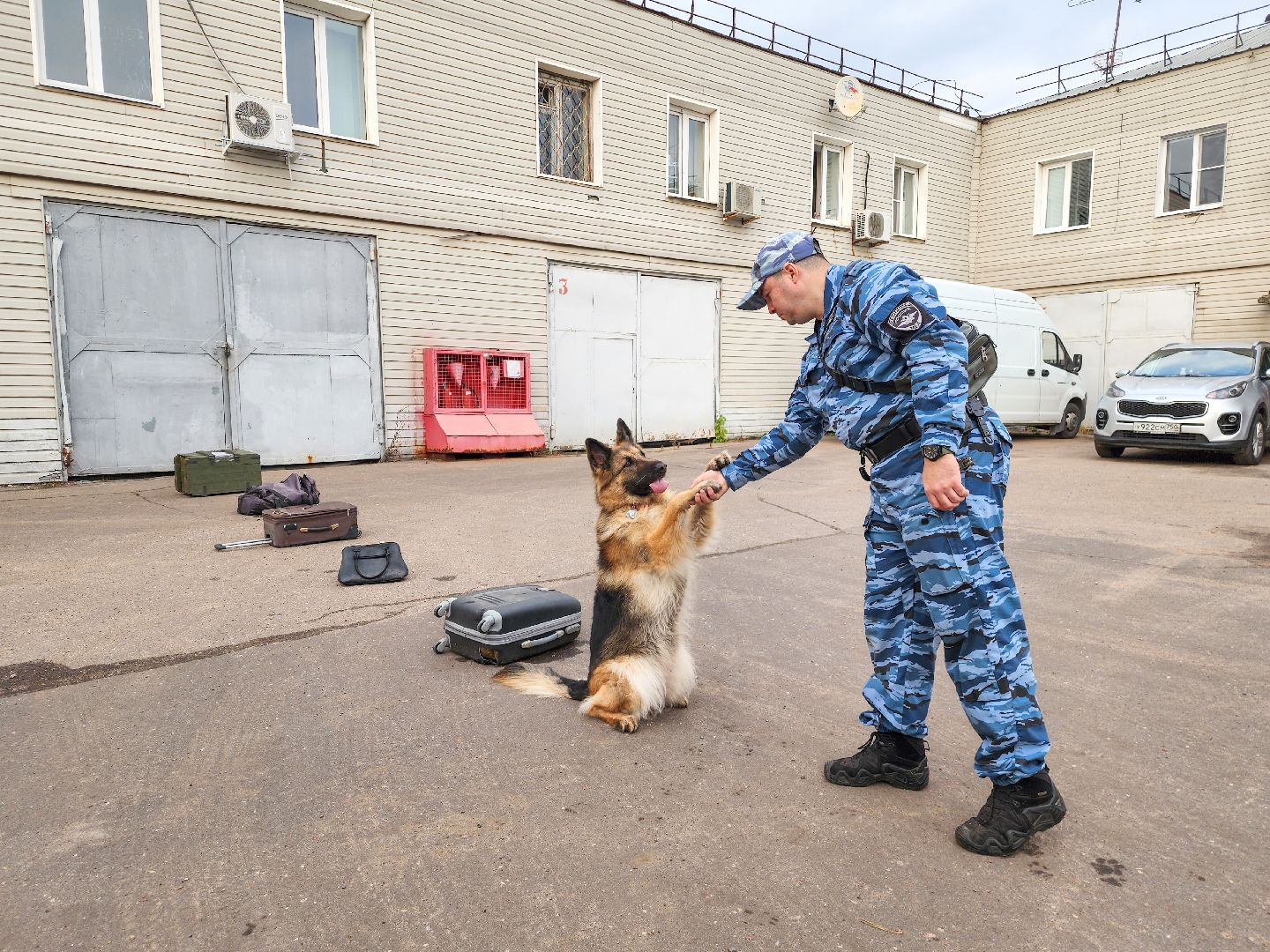 Подольск, Кинолог, Семья, Служебные собаки,День полиции, Служба в полиции,