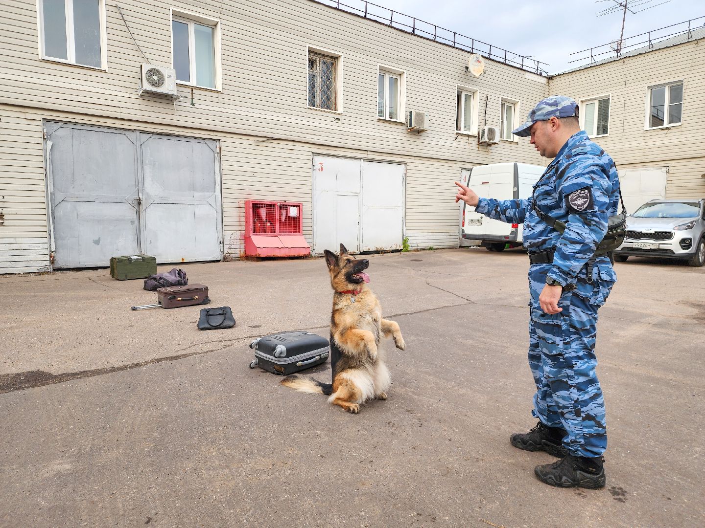 Подольск, Кинолог, Семья, Служебные собаки,День полиции, Служба в полиции,