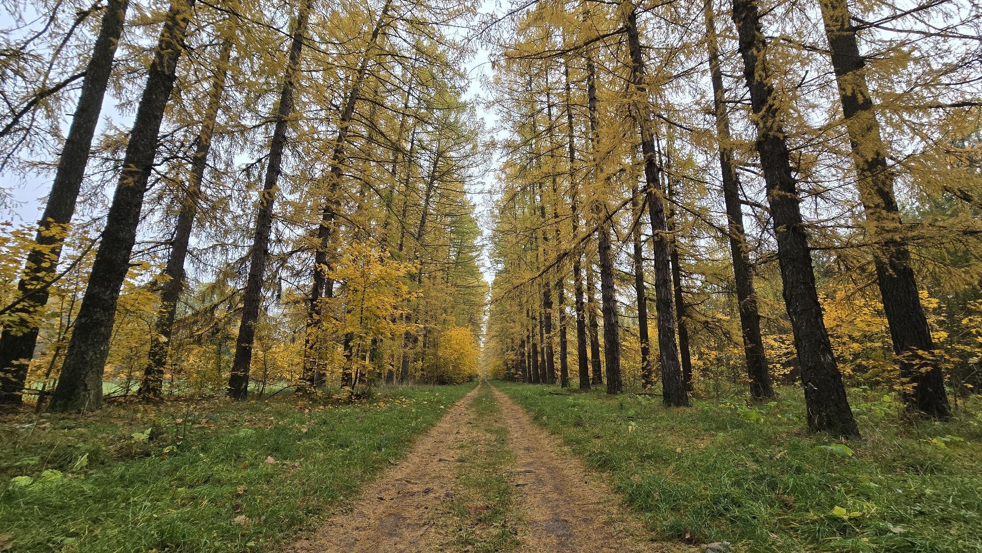 Коломна, Озеры,туризм, усадьба сенницы,